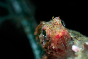 Neuer Beitrag Copy Copy